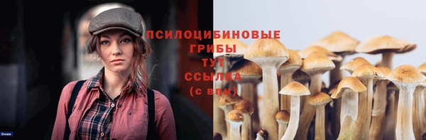 мдма Касимов