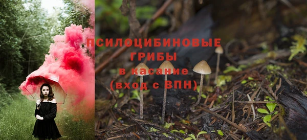 мдпв Карталы