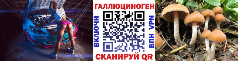 Купить  Дальнегорск  Псилоцибиновые грибы прущие грибы 